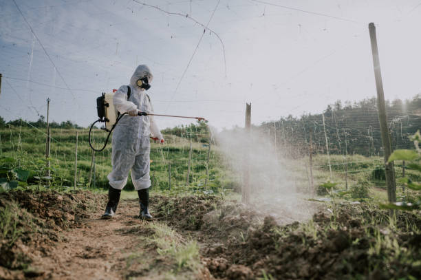 Best Pest Removal Services  in Orfordville, WI