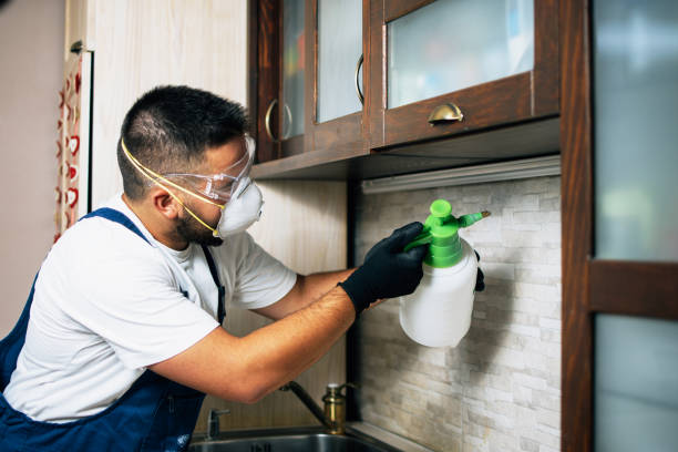 Best Pest Inspection Near Me  in Orfordville, WI