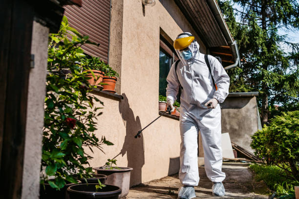 Best Spider Control Near Me  in Orfordville, WI