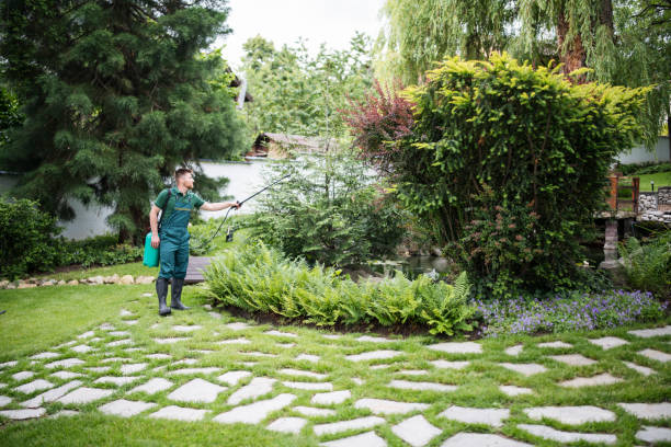 Best Pest Control Near Me  in Orfordville, WI