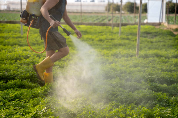 Best Pest Inspection Near Me  in Orfordville, WI