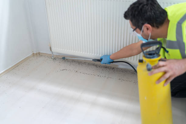 Best Affordable Pest Control Services  in Orfordville, WI